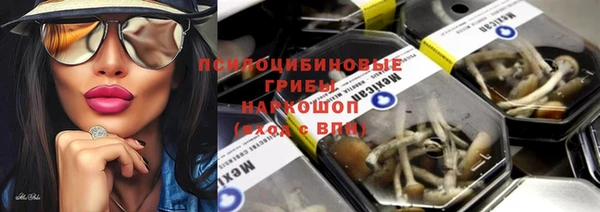 эйфоретик Абаза