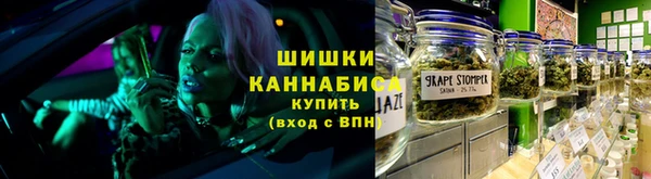 шишки Алексин
