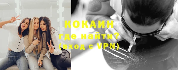 шишки Алексин