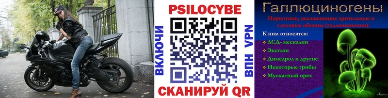 Псилоцибиновые грибы Cubensis  где можно купить   Миллерово 